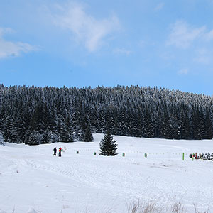 Ośrodek narciarski Bielice