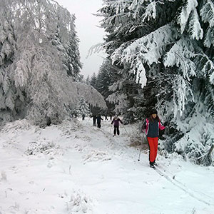 Szkoła narciarstwa biegowego - Spalona