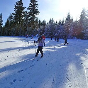 Szkoła narciarstwa biegowego - Spalona