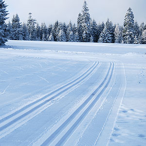 Szkoła narciarstwa biegowego - Spalona