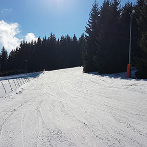 Czarna Góra i Masyw Śnieżnika