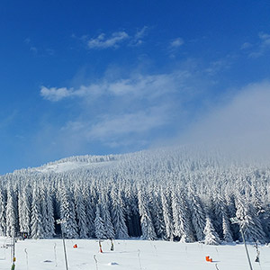 Czarna Góra i Masyw Śnieżnika