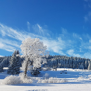 Półmetek ferii - Czarna Góra i Masyw Śnieżnika